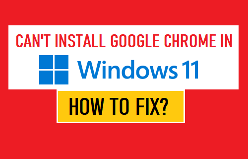 无法在 Windows 11 中安装 Google Chrome