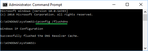 Windows 10 中的 ipconfig flushdns 命令