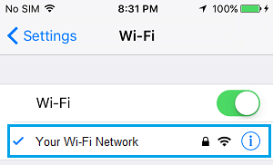 iPhone 设置屏幕上的 WiFi 网络名称