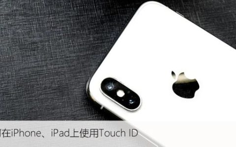 如何在iPhone、iPad上使用Touch ID