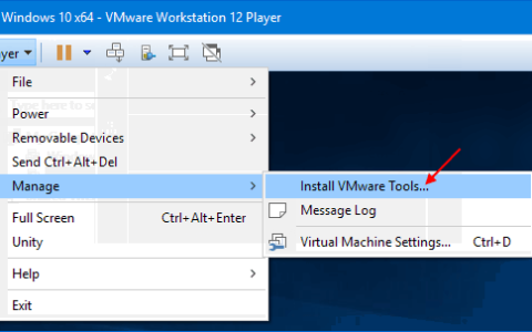 如何在VMware Workstation中启用复制和粘贴